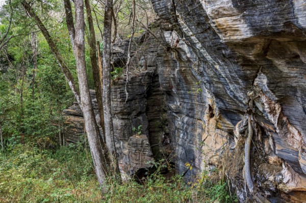 Vertical rocky formation between the trees of the tropical forest in Lapinha da Serra, Minas Gerais, Lapinha da Serra, Minas Gerais, Brazil