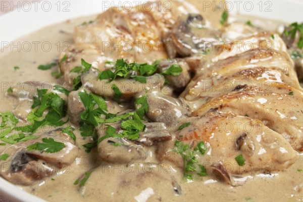 Chicken in cream sauce with mushrooms, on a plate, no people