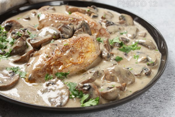 Chicken in cream sauce with mushrooms, on a black plate, no people