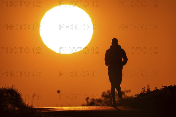A jogger runs at sunrise on a country lane near Frankfurt am Main, Frankfurt am Main, Hesse, Germany