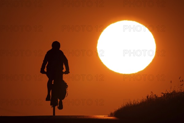 A bicycle rides at sunrise on a country lane near Frankfurt am Main, Frankfurt am Main, Hesse, Germany