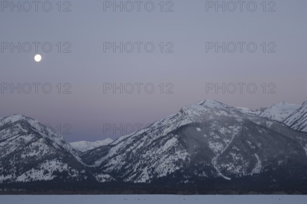 Moonset... Rocky Mountains (Wyoming, USA), full moon in ice-cold night over the Grand Teton Range in front of a soft pink night sky, idyllic winter atmosphere, landscape, Yellowstone, Wyoming, North America, United States of America