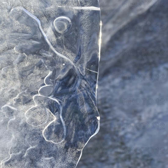 The mask... Ice sculptures (winter flood Lower Rhine 2020, 2021), art in nature, ice plate formed by wind and weather, imagination, weather conditions, Bislicher Insel near Xanten, nationally known nature reserve, Wesel district, Lower Rhine, Rhineland, North Rhine-Westphalia, Germany, Western Europe