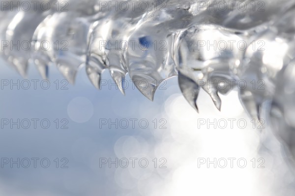 Shark teeth... Ice formations (winter flood 2020, 2021) formed from wind and water on an ice sheet after receding floodwaters, weather conditions, Bislicher Insel near Xanten, nationally known nature reserve, Wesel district, Lower Rhine, Rhineland, North Rhine-Westphalia, Germany, Western Europe