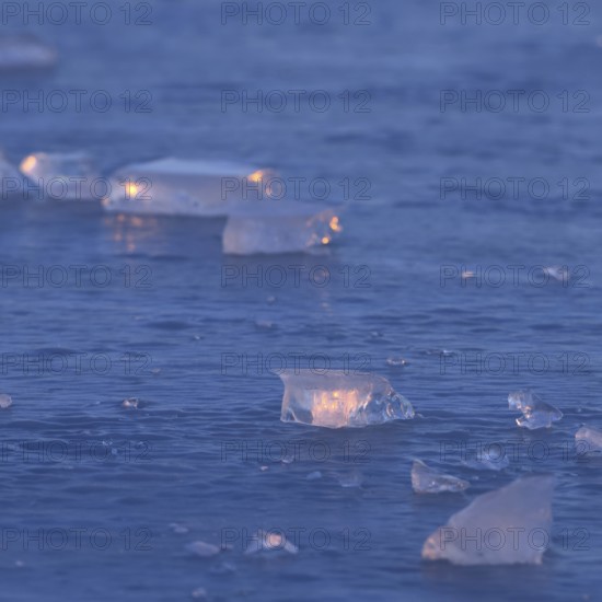 Blue ice... Ice sheets (high water on the Lower Rhine), ice sheets on an ice surface in the early morning light, weather conditions, Bislicher Insel near Xanten, nationally known nature reserve, Wesel district, Lower Rhine, Rhineland, North Rhine-Westphalia, Germany, Western Europe