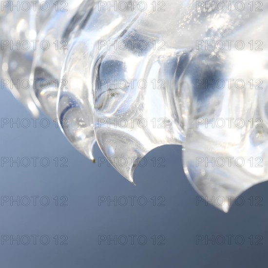 Sculpted by wind and weather... Ice teeth (winter flood 2020, 2021), natural ice sculptures, details of an overhanging ice plate, Bislicher Insel near Xanten, nationally known nature reserve, Wesel district, Lower Rhine, Rhineland, North Rhine-Westphalia, Germany, Western Europe