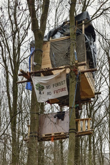 Standing up for the preservation of the forest... Tree house in Hambach Forest, environmental activists occupy trees to protest against the clearing of the forest for open-cast lignite mining. Hambach Forest became a nationally recognised symbol of resistance in the fight against climate change and global warming. For years, environmental and climate activists lived in tree houses to protest against deforestation. Hambach Forest, Düren district, North Rhine-Westphalia, Germany, Western Europe
