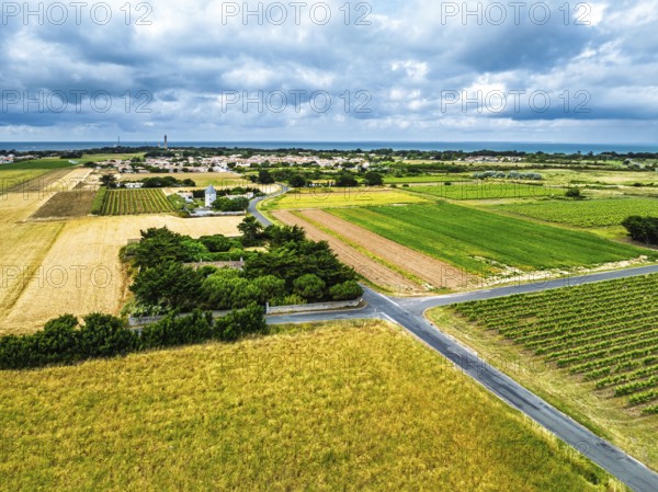 Fields and Grape plantations from a drone, Saint-Clement-des-Baleines, Atlantic, France