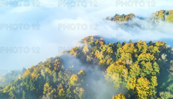 Mystical foggy landscape in autumn, colorful forest with fog in an aerial drone view, AI generated