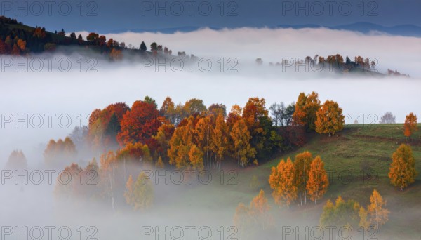 Mystical foggy landscape in autumn, colorful trees in fog, misty mood nature atmosphere, AI generated