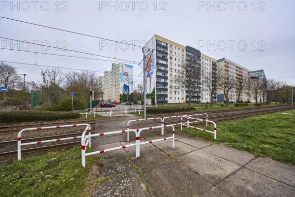 MWG-Wohnungsgenossenschaft eG Magdeburg, residential buildings, high-rise buildings, tram crossing, barrier railings, tram tracks, overhead lines, concrete slab pavement, bare wintry trees, diffuse light, cloudy, Lumumbastraße, Ebendorfer Chaussee, Magdeburg, state capital, independent city, Saxony-Anhalt, Germany