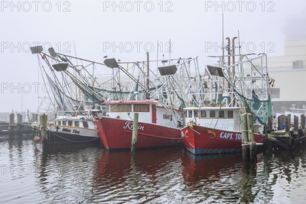 Commercial shrimp boats at the dock in the commercial area of the Biloxi Small Craft Harbor in Biloxi, Mississippi