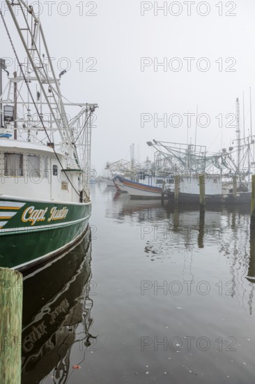 Commercial shrimp boats at the dock in the commercial area of the Biloxi Small Craft Harbor in Biloxi, Mississippi