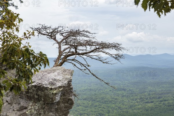 Overlook along the Pulpit Rock Trail in Cheaha State Park, Alabama, USA