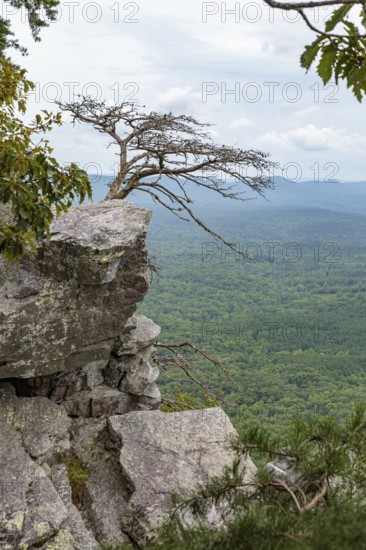Overlook along the Pulpit Rock Trail in Cheaha State Park, Alabama, USA