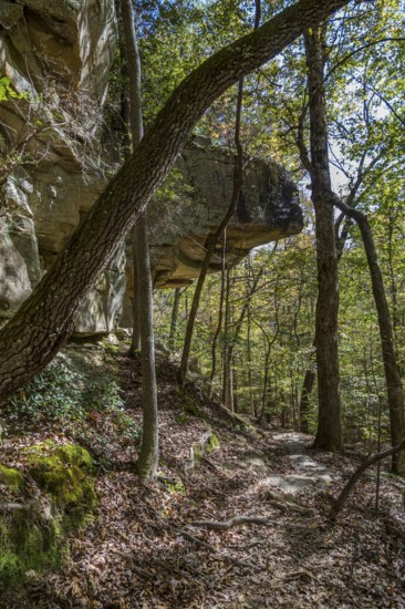 Rock outcropping along hiking trail in Tishomingo State Park in northeast Mississippi