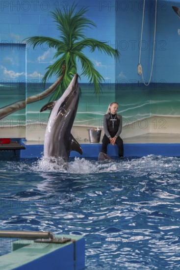 Trainers working with Dolphins during show at Ocean Adventures Marine Park in Gulfport, Mississippi