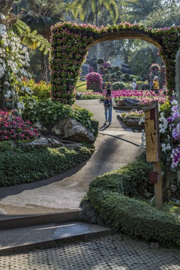 Mae Fah Luang Gardens within the Doi Tung tourist attraction in Chiang Rai, Thailand
