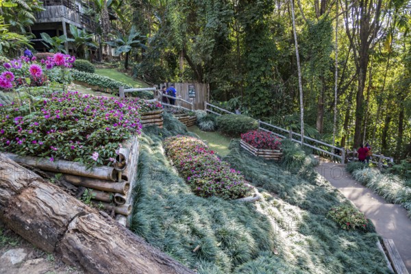 Mae Fah Luang Gardens within the Doi Tung tourist attraction in Chiang Rai, Thailand