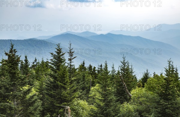 Hazy Blue Ridge Mountains in the distance behind evergreen trees near Clingman's Dome in Tennessee