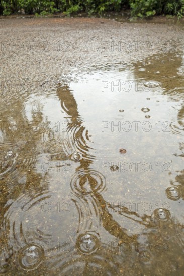 Rain puddle, rainwater, Ostseeallee, Baltic Sea, Baltic seaside resort, Kühlungsborn, Rostock district, Mecklenburg-Western Pomerania, Germany