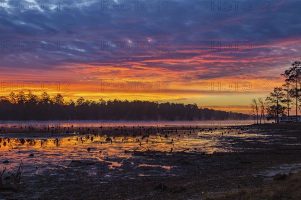 Stumps protrude from low water in Geiger Lake at sunrise in Paul B. Johnson State Park near Hattiesburg, Mississippi, USA