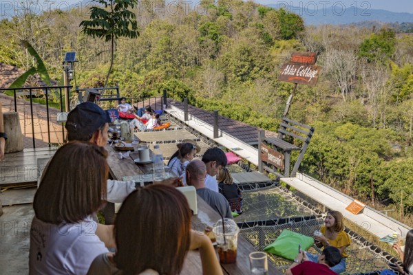 Customers eat, drink and relax on a net suspended over the hillside at the Akha Cottage restaurant and coffee shop in Chiang Rai, Thailand
