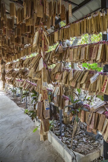 Plaques with messages from prrevious customers hang at entrance to the Akha Cottage restaurant and coffee shop in Chiang Rai, Thailand