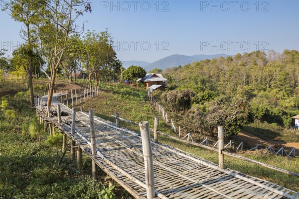Raised bamboo walkway bridge in disrepair leads to farmhouse on a hillside near the Akha Cottage coffee shop and restaurant in Chiang Rai, Thailand
