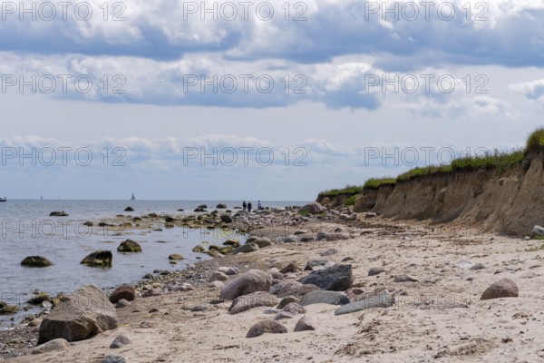 Beach with cliffs Grossenbrode Baltic Sea Germany