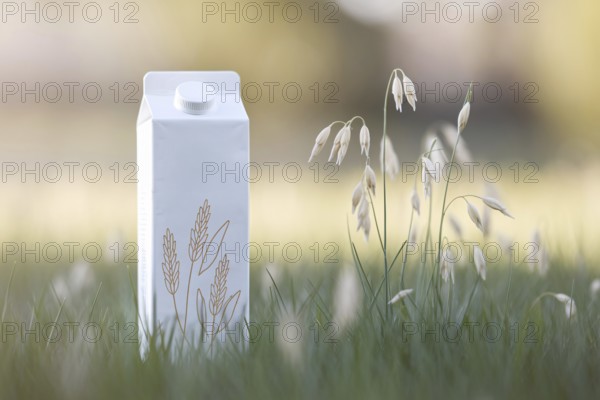 Minimalist oat milk carton with pastel oat illustrations set against a sunlit meadow background. Generative ai, AI generated
