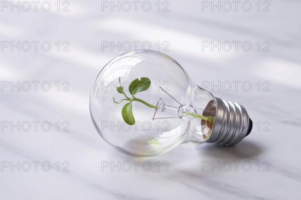 Light bulb with green sprout growing inside. Symbol of sustainable innovation and eco-friendly ideas. Generative ai, AI generated