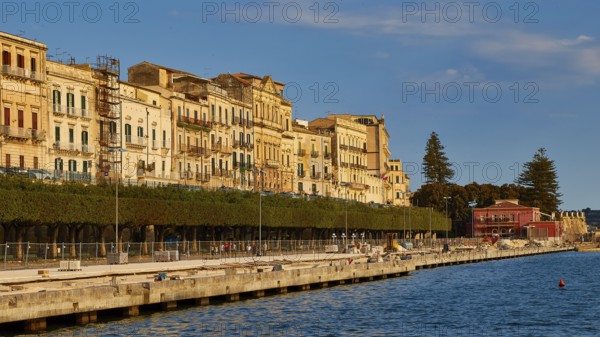 Waterfront with historic buildings and trees under a blue sky, Ortigia Island, Isola di Ortigia, Historic old town, Syracuse, Sicily, Italy
