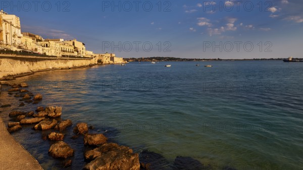Coastline with rocks and buildings in the warm evening light under a clear sky, Ortigia Island, Isola di Ortigia, Historic old town, Syracuse, Sicily, Italy