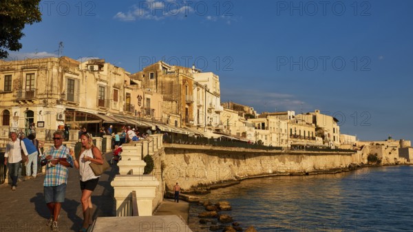 People walking along the coastal promenade with historic buildings in the evening light, Ortigia Island, Isola di Ortigia, Historic old town, Syracuse, Sicily, Italy