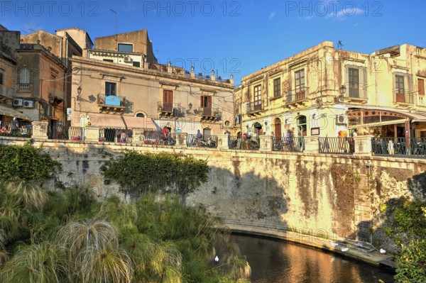 HDR, Largo Aretusa, Fonte Aretusa, Bridge over a pond with lush vegetation and historic buildings in the sunlight, Ortigia Island, Isola di Ortigia, Historic old town, Syracuse, Sicily, Italy