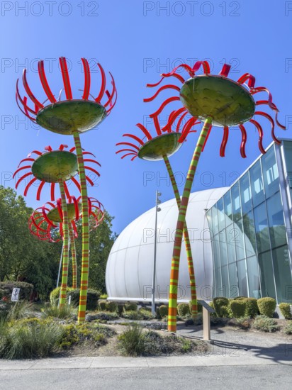 Sonic Bloom sculpture in front of the Anne Frank Tree, Seattle, Washington, USA, North America