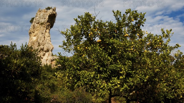 Large rock towering over a flowering tree in a natural setting under a cloudy sky, Neapolis Archaeological Park, Syracuse, Sicily, Italy