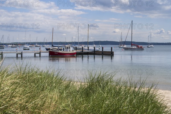 Sailing boats at the jetty, seaweed in front, harbour, dark clouds, Eckernförde, Baltic Sea, Schleswig-Holstein, Germany