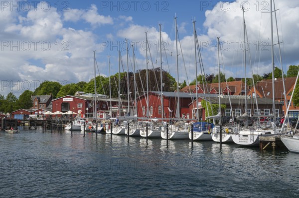 Sailing boats in the harbour, building, marina, Eckernförde, Baltic Sea, Schleswig-Holstein, Germany