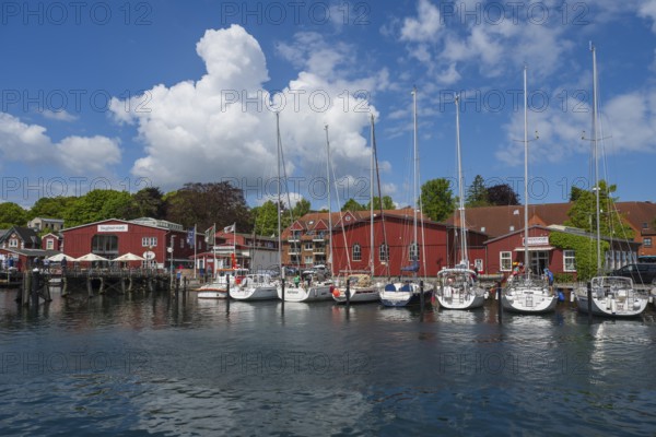 Sailing boats in the harbour, building, sea rescue, marina, Eckernförde, Baltic Sea, Schleswig-Holstein, Germany