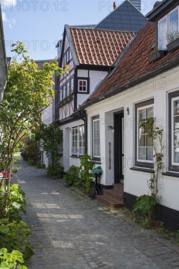 Alley in the old town, Eckernförde, Baltic Sea, Schleswig-Holstein, Germany