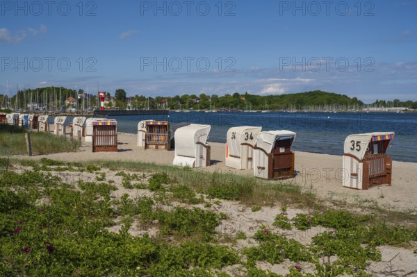 Beach chairs on the sandy beach, Kurstrand, Eckernförde, Baltic Sea, Schleswig-Holstein, Germany