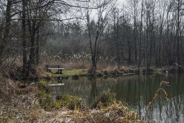 Former anti-tank ditch from the 2nd World War, Westwall, Steinfeld, Southern Palatinate, Palatinate, Rhineland-Palatinate, Germany