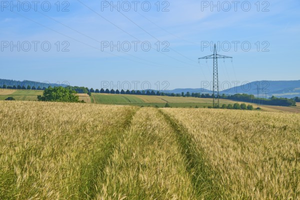 Wide golden grain fields with electricity pylon, blue sky and hilly landscape, summer, Germerode, Geo nature park Park Frau-Holle-Land, Hoher Meissner, Hesse, Germany