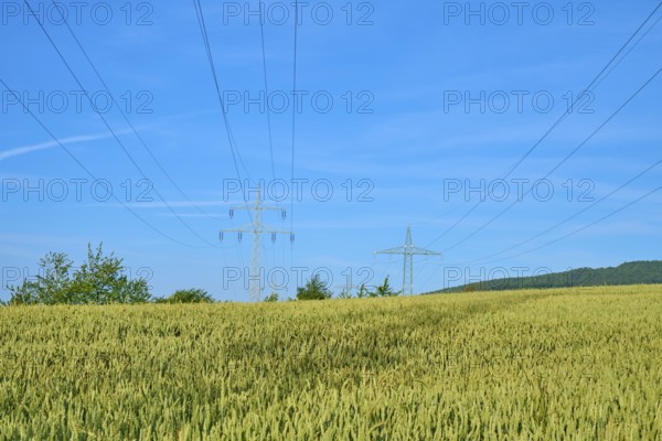 Wide wheat field under blue sky, crossed by power lines, summer, Germerode, Geo nature park Park Frau-Holle-Land, Hoher Meissner, Hesse, Germany