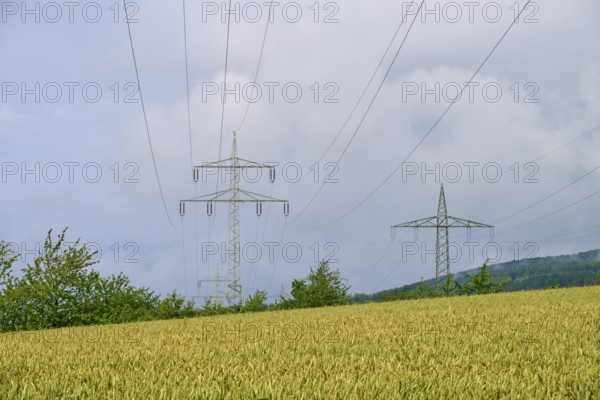 Crop field under cloudy sky with electricity pylons, summer, Germerode, Geo nature park Park Frau-Holle-Land, Hoher Meissner, Hesse, Germany