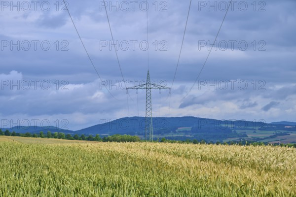 Crop field with a power pole under a cloudy sky, summer, Germerode, Geo nature park Park Frau-Holle-Land, Hoher Meissner, Hesse, Germany