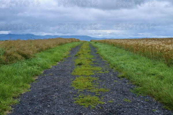 Field path under a cloudy sky in a rural setting, summer, Germerode, Geo nature park Park Frau-Holle-Land, Hoher Meissner, Hesse, Germany