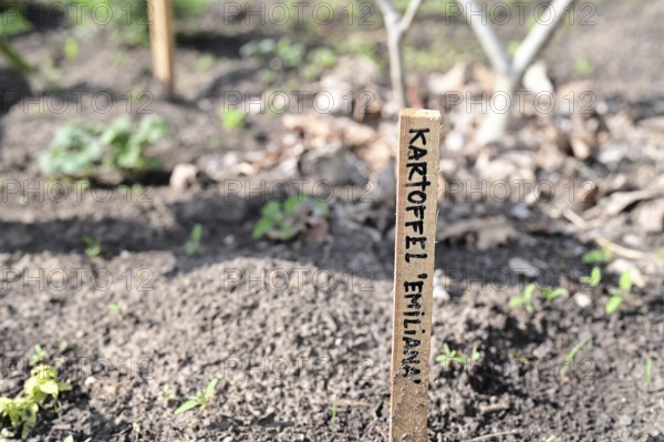 Outdoor exhibition on agriculture and cultivation in front of the Futurium next to the Federal Ministry of Research, Technology and Space